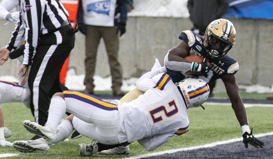 Montana State's Isaiah Ifanse plows over Albany's Tyler Carswell on his way to a first-half touchdown during a second-round game in the NCAA Football Championship Subdivision playoffs Saturday, Dec. 7, 2019, in Bozeman, Mont. (Ryan Berry/Bozeman Daily Chronicle via AP)
