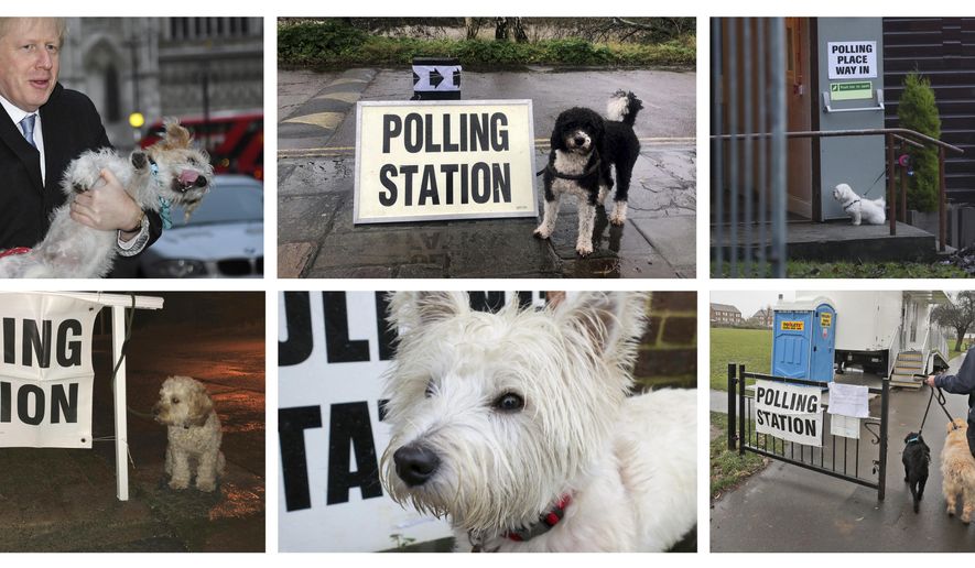 In this six photo combo image, showing dogs outside polling stations, as dogs and British people go out in the winter to vote, at various places during Britain's general election Thursday Nov. 12, 2019. U.K. voters are deciding Thursday who they want to resolve the stalemate over Brexit in a parliamentary election widely seen as one of the most decisive in modern times. top left to right: Britain's Prime Minister Boris Johnson holds his dog Dilyn in London, Henry the labradoodle in Bristol, unknown dog waits for its owner in Glasgow. Below from left: Reggie the cocker pop puppy in Chester-le-Street, Harry the west highland terrier in London, dogs arrives at a polling station in Twickenham, London. (SIX PHOTO COMBO IMAGE BYLINE CREDITS - TOP FROM LEFT: (AP) ALBERTO PEZZALI, (PA) CLAIRE HAYHURST, (AP) SCOTT HEPPELL. AND BELOW FROM LEFT: (PA) TOM WILKINSON, (PA) JONATHAN GUN, (AP) FRANK AUGSTEIN via AP)