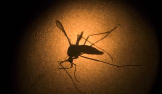 Scientists are aggressively pursuing a vaccine to the mosquito-borne Zika virus and using special bacteria to neutralize the mosquitoes that carry the disease. (ASSOCIATED PRESS)