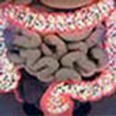 200113-intest-85.jpg