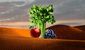B3-COCH-Oasis-GG.jpg