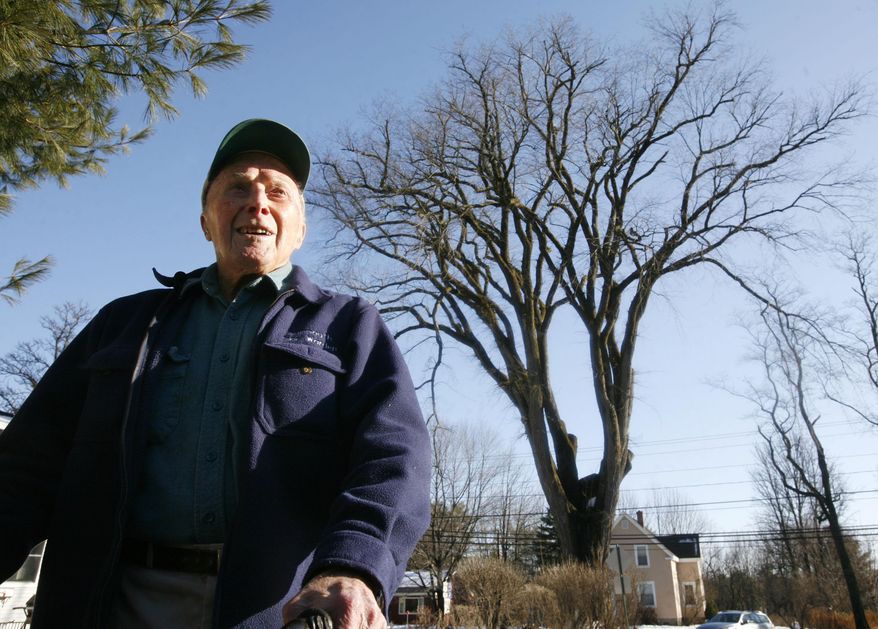 FILE - In this Dec. 14, 2009 file photo, Frank Knight, 101, of Yarmouth, Maine, stands in front of an elm tree known as "Herbie" in Yarmouth. Knight took care of the tree for about 50 years while working as the Yarmouth tree warden. The tree, estimated to be 217 years old, was cut down Jan. 19, 2010 after suffering numerous bouts of Dutch elm disease. "Herbie" may be gone, but he'll live on in cloned trees that are now being made available to the public. (AP Photo/Steven Senne, File)
