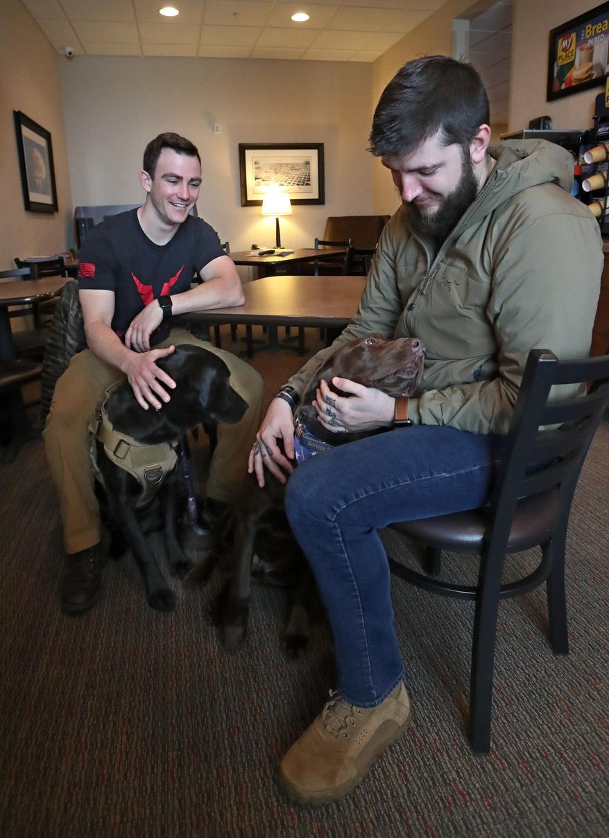 In a Jan. 17, 2020 photo, Jake Tschirhart, a dog trainer with Labs for Liberty, left, pets Bodhi, a black lab service dog as he watches Chris Campbell, right, interact with Brody, a brown lab service dog in Aberdeen, S.D.. Campbell is using Brody temporarily to help deal with PTSD and physical injuries from his service in the military while Tschirhart completes the training Bodhi needs to become Campbell&#x27;s full time service dog. (John Davis/Aberdeen American News via AP)