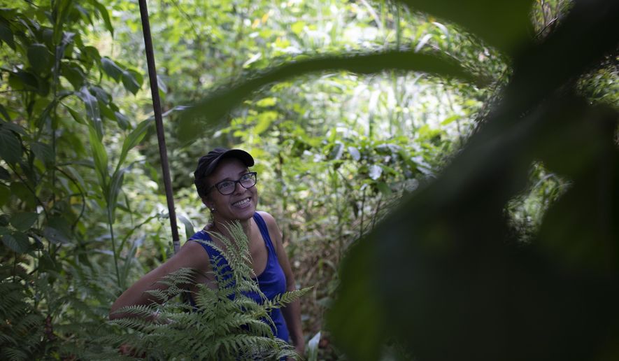 In this Jan. 6, 2020 photo, activist Ale Roque smiles as she sees a tree bearing fruit at her home in Rio's first favela, Morro da Providencia, Rio de Janeiro, Brazil. Roque's project forms part of a recent wave of green projects in Rio, a city known for its jungle, but much of which is actually large expanses of concrete and brick with ever-hotter temperatures during the summer months. (AP Photo/Silvia Izquierdo)