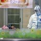 In this Thursday, Jan. 30, 2020, file photo, a doctor attends to a patient in an isolation ward at a hospital in Wuhan in central China&#39;s Hubei Province. Foreign evacuees from China&#39;s worst-hit region returned home to medical observation and even isolation. (Chinatopix via AP, File)