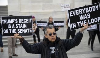 Demonstrators protest outside of the U.S. Capitol. (Associated Press/File)