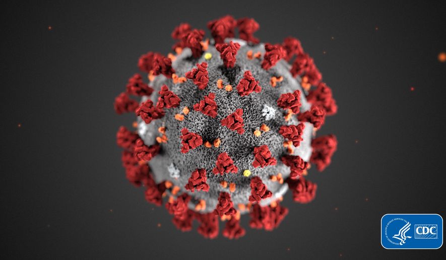 This illustration provided by the Centers for Disease Control and Prevention (CDC) in January 2020 shows the 2019 Novel Coronavirus (2019-nCoV). (CDC via AP, File)