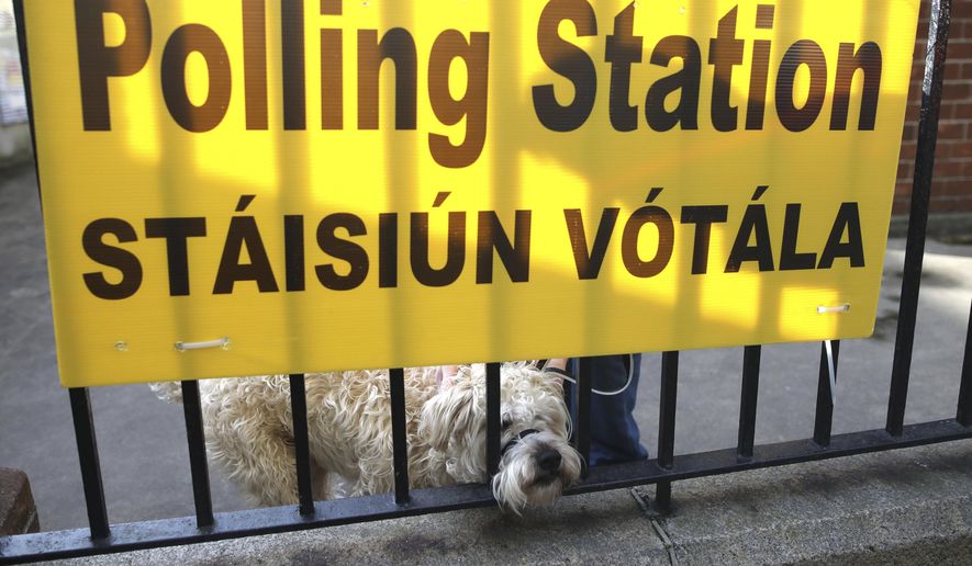 A dog waits for his owner as voting gets under way in the general election in Dublin, Ireland, Saturday, Feb. 8, 2020. Irish voters are choosing their next prime minister in an election where frustration with economic austerity and a housing crisis seem to have have fuelled political uncertainty. (AP Photo/Peter Morrison)