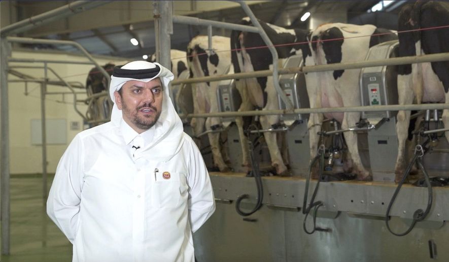 Dec. 16, 2019 - Al Khor, Qatar -  Mouatz Al Khayyat, Chairman of Power Holding International, which founded the Baladna dairy with the inception of the blockade. The facility now produces 80 percent of the country&#39;s requirements for milk.