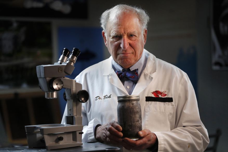 In this Friday, Feb. 14, 2020 photo, Dr. Robert Bayer holds a jar of frozen lobster blood in his lab in Orono, Maine. Bayer's company, Lobster Unlimited of Orono, is investigating whether lobster blood can be used as a potential weapon against viruses and cancer, and representatives said results are promising. The U.S. Patent and Trademark Office issued the company a patent in late October related to its work. (AP Photo/Robert F. Bukaty)