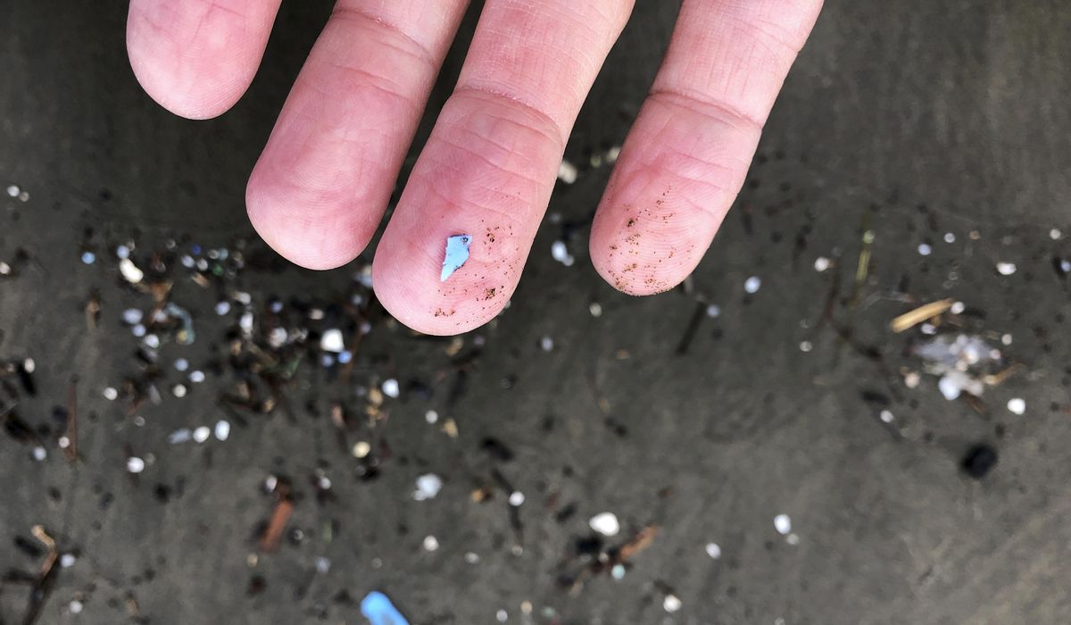 NextImg:Archaeologists finding microplastics in ancient remains