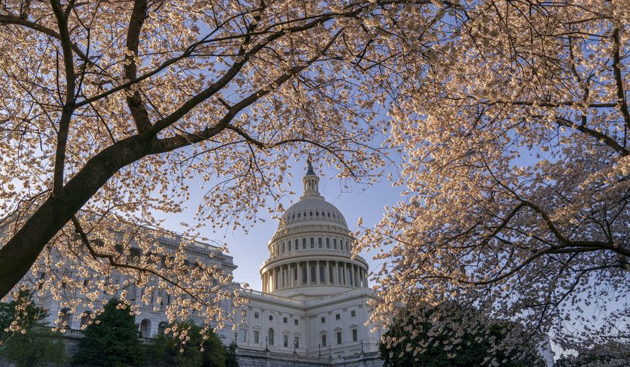 FILE - In this April 1, 2019, file photo the Capitol is framed amid blooming cherry trees in Washington. In a city where the meet-and-greet is hardwired into the culture of political life, the coronavirus is rapidly changing the norms, even before a first case arrives in the nation's capital. (AP Photo/J. Scott Applewhite, File)