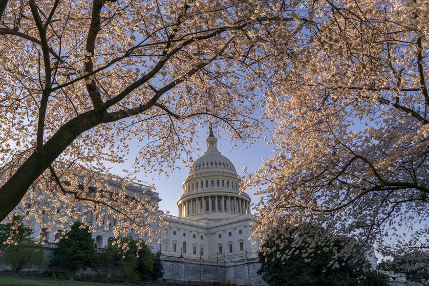 FILE - In this April 1, 2019, file photo the Capitol is framed amid blooming cherry trees in Washington. In a city where the meet-and-greet is hardwired into the culture of political life, the coronavirus is rapidly changing the norms, even before a first case arrives in the nation's capital. (AP Photo/J. Scott Applewhite, File)