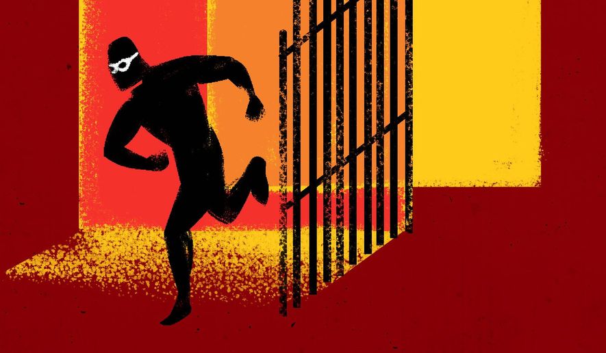 Immigration Sanctuary Policies Illustration by Linas Garsys/The Washington Times