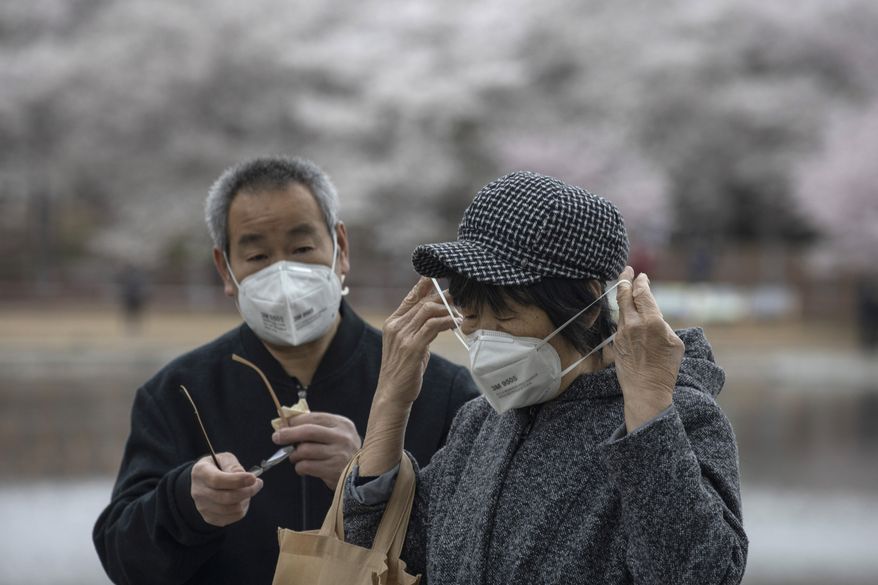 An elderly woman wears her mask near the cherry blossoms at the Yuyuantan Park in Beijing on Thursday, March 26, 2020. While many of the city's world-famous tourist sites, including the sprawling Forbidden City ancient palace complex, remain closed due to the coronavirus outbreak, spring weather and budding cherry blossoms are coaxing outdoors citizens who have been largely confined to home for the last two months. (AP Photo/Ng Han Guan)