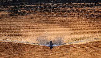 A single bass fishing boat cruises along the Potomac River at sunset in Washington, Wednesday evening, April 8, 2020. Boat traffic on the river is thinner than usual as people practice social distancing during the coronavirus outbreak. (AP Photo/J. David Ake)