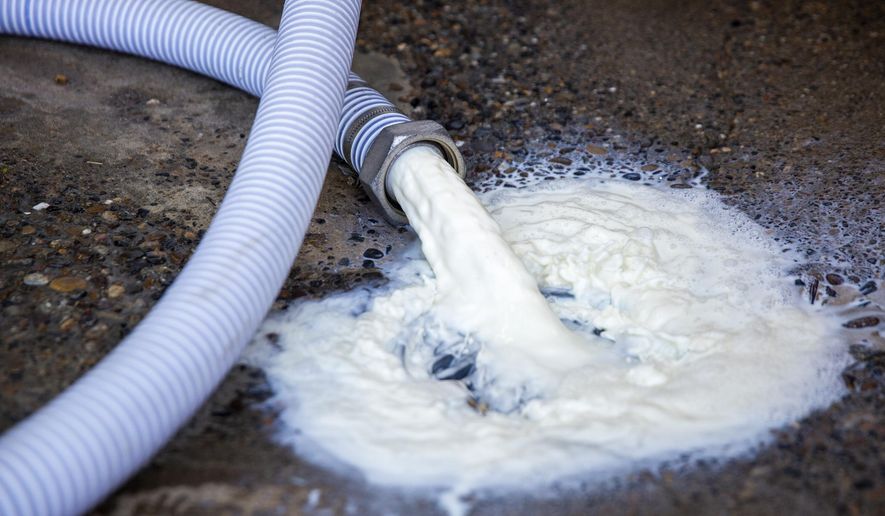 Milk pours out of the bulk tank and into the drain Wednesday, April 8, 2020, at the Azevedo Family Dairy in Buhl, Idaho. With restaurants across the country closed, milk processors have lost a significant chunk of their market, leaving dairy farmers with no one to take their milk. Owner Richard Azevedo says 4,100 gallons of milk were dumped that morning. 'It's hard to watch that go down the drain,' he says. (Pat Sutphin/Times-News via AP)