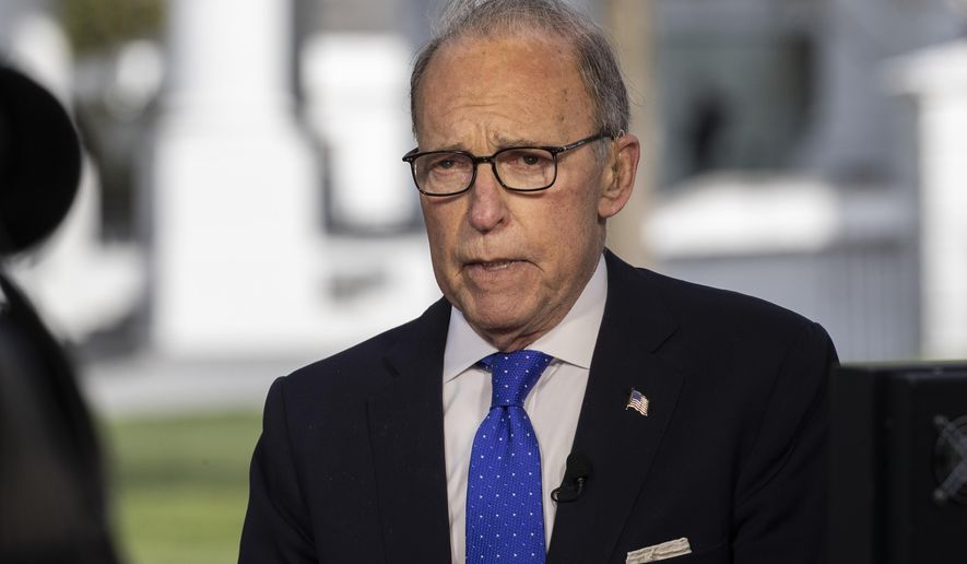White House chief economic adviser Larry Kudlow speaks during a television interview at the White House, Friday, April 10, 2020, in Washington. (AP Photo/Alex Brandon)