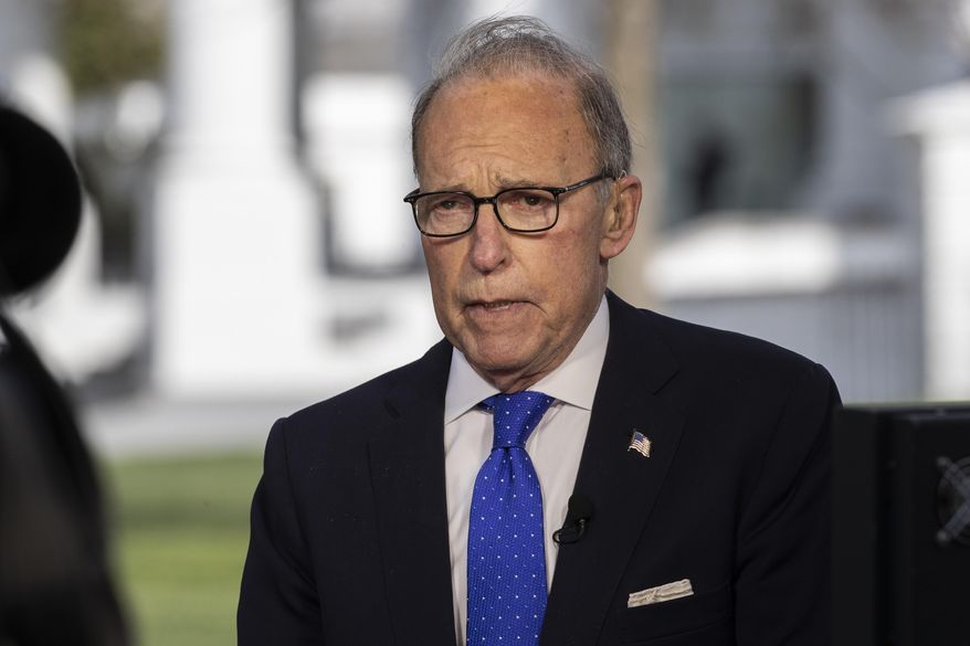 White House chief economic adviser Larry Kudlow speaks during a television interview at the White House, Friday, April 10, 2020, in Washington. (AP Photo/Alex Brandon)