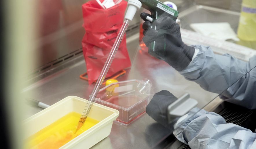 FILE - In this March 19, 2020, file photo laboratory scientist Andrea Luquette cultures coronavirus to prepare for testing at U.S. Army Medical Research and Development Command at Fort Detrick in Frederick, Md., where scientists are working to help develop solutions to prevent, detect and treat the coronavirus. (AP Photo/Andrew Harnik, File)