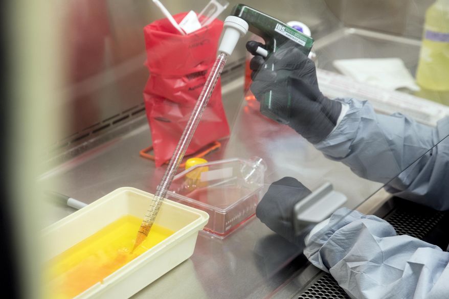 FILE - In this March 19, 2020, file photo laboratory scientist Andrea Luquette cultures coronavirus to prepare for testing at U.S. Army Medical Research and Development Command at Fort Detrick in Frederick, Md., where scientists are working to help develop solutions to prevent, detect and treat the coronavirus. (AP Photo/Andrew Harnik, File)