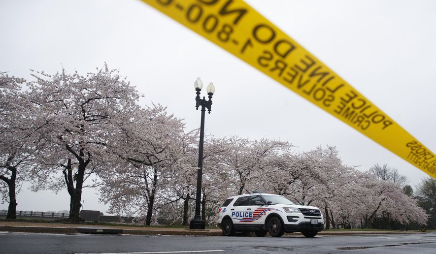 In this March 23, 2020, file photo a Washington, D.C. Metropolitan Police vehicle is parked on the other side of a tape police line along the Tidal Basin as cherry blossoms cover the trees, in Washington. The nation&#x27;s capital, like most of the nation itself, is largely shuttered. (AP Photo/Carolyn Kaster, File)