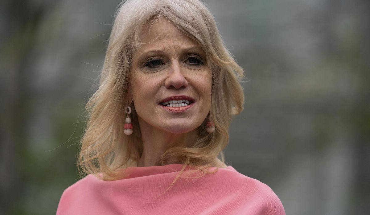 NextImg:Kellyanne Conway urges Trump to pick ‘person of color’ for VP, floats possibilities