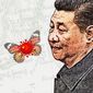 China Poison Butterfly Illustration by Greg Groesch/The Washington Times