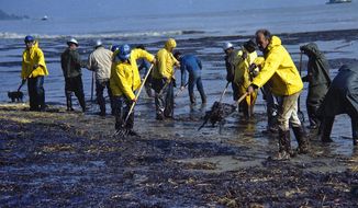 FILE- In this Feb. 6, 1969, file photo, state forestry conservation crews gather up oil-soaked straw on a beach in Santa Barbara, Calif. Fifty years after the first Earth Day helped spur activism over air and water pollution and disappearing plants and animals, significant improvements are undeniable but monumental challenges remain. Minority communities suffer disproportionately from ongoing contamination. Deforestation, habitat loss and overfishing have wreaked havoc on global biodiversity. And the existential threat of climate change looms large. (AP Photo/Wally Fong, File)