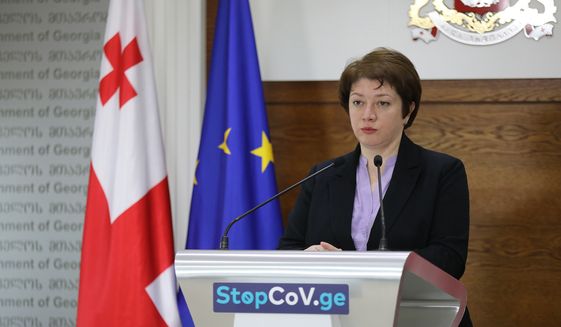 Georgia Vice Prime Minister Maya Tskitishvili. (Photo compliments/nation of Georgia)