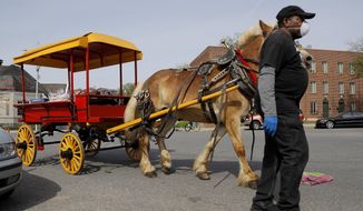 Anthony Savoy, an Arabber, pulls his horse-drawn cart with free chicken and bread for West Baltimore residents, Wednesday, April 29, 2020. The 2,000 pounds of frozen chicken, which was donated to the University of Maryland, Baltimore, from Holly Poultry, was delivered to residents by the Arabbers, street vendors who sell fruits and vegetables from colorful horse-drawn carts. The university estimated the donation will reach about 900 families as they help battle food concerns during the new coronavirus outbreak. (AP Photo/Julio Cortez)