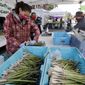 Farmer Alegria Canales stacks asparagus as a customer behind completes his purchase at her family&#39;s stand in the West Seattle Farmers Market during its first opening in nearly two months because of the coronavirus outbreak Sunday, May 3, 2020, in Seattle. (AP Photo/Elaine Thompson)  **FILE**