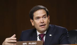 Sen. Marco Rubio, R-Fla., speaks during a Senate Intelligence Committee nomination hearing for Rep. John Ratcliffe, R-Texas, on Capitol Hill in Washington, Tuesday, May. 5, 2020. (AP Photo/Andrew Harnik, Pool) ** FILE **