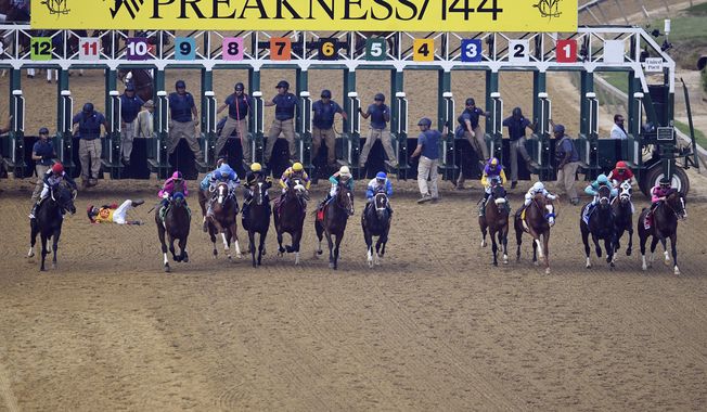 In this May 18, 2019, file photo, jockey John Velazquez tumbles to the track after falling off Bodexpress (9) as the field breaks from the starting gate in the 144th Preakness Stakes horse race at Pimlico race course in Baltimore. War of Will, far right, ridden Tyler Gaffalione won the race. A person with knowledge of negotiations tells The Associated Press the Maryland Jockey Club and NBC Sports have set aside three possible dates for the running of the next Preakness. (AP Photo/Nick Wass) ** FILE **