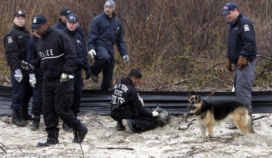 In this April 11, 2011, file photo, law enforcement and emergency personnel examine an object on the side of the road, center, near Jones Beach in Wantagh, N.Y. On Friday, May 22, 2020, authorities investigating the long-running mystery of skeletal remains strewn along a suburban New York beach highway said they have identified the remains of one of the women using DNA technology. (AP Photo/Seth Wenig, File)