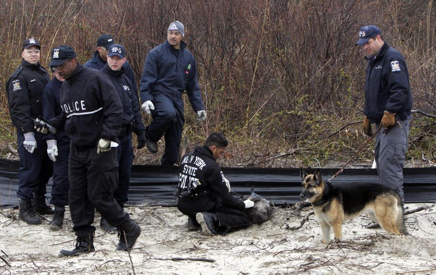 In this April 11, 2011, file photo, law enforcement and emergency personnel examine an object on the side of the road, center, near Jones Beach in Wantagh, N.Y. On Friday, May 22, 2020, authorities investigating the long-running mystery of skeletal remains strewn along a suburban New York beach highway said they have identified the remains of one of the women using DNA technology. (AP Photo/Seth Wenig, File)