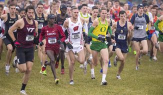 FILE - In this Nov. 23, 2019, file photo, runners compete in the men&#39;s NCAA Division I Cross-Country Championships in Terre Haute, Ind. Four-year colleges facing budget shortfalls stemming from the coronavirus outbreak have eliminated a total of nearly 100 sports programs since March. (AP Photo/Doug McSchooler, File)