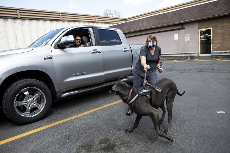 In this Thursday, May 21, 2020, photo, Tammy Reid laughs while getting out of her truck to help Savanah Hendershott, a vet technician, return Blue, her 1-year-old Great Dane, after a visit to Sugar House Veterinary Hospital in Salt Lake City. The hospital is open to pets only amid the coronavirus pandemic. Pet owners are asked to call the hospital and wait in the parking lot for a technician to walk their pets inside and return them after their appointment. (Ivy Ceballo/The Deseret News via AP)