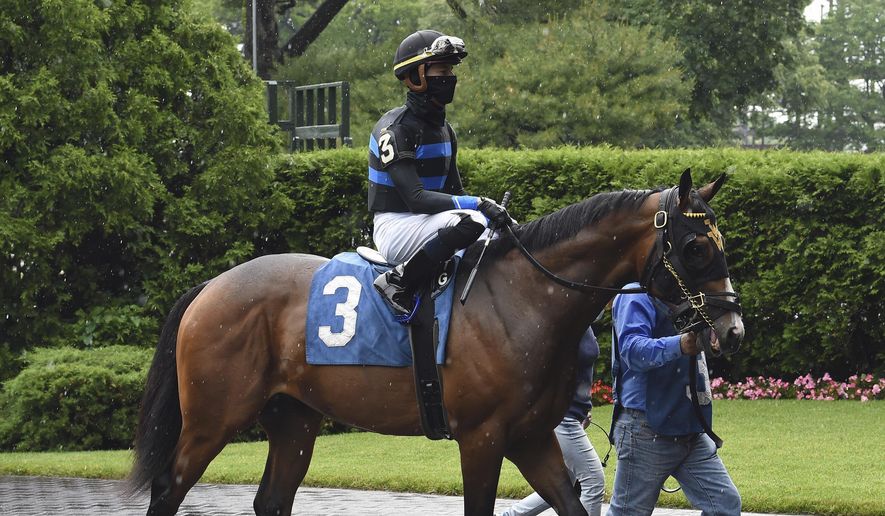 In this photo provided by the New York Racing Association, Fauci, jockey Tyler Gaffalione up, is led from the paddock to the track for a horse race at Belmont Park in Elmont, N.Y., Wednesday, June 3, 2020. The racehorse named for Dr. Anthony Fauci finished second in his debut. The 2-year-old colt was beaten by a horse named Prisoner in the third race. (Adam Coglianese/NYRA via AP)
