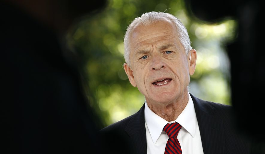 White House trade adviser Peter Navarro speaks during a television interview outside the White House, Monday, June 8, 2020, in Washington. (AP Photo/Patrick Semansky) **FILE**