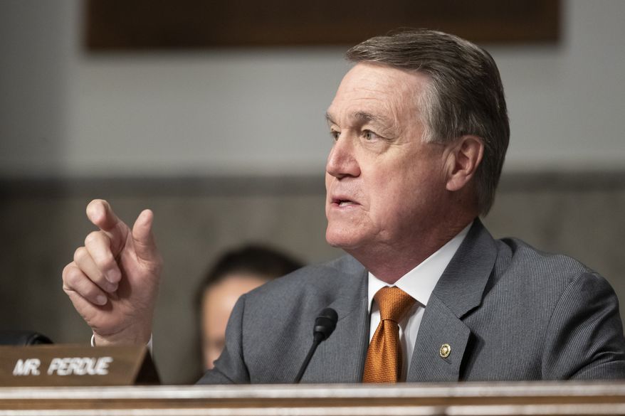 FILE - In this Dec. 3, 2019, file photo, Sen. David Perdue, R-Ga., speaks during a hearing of the Senate Armed Services Committee in Washington. The Democratic candidates vying to take on Perdue in November square off in a primary election Tuesday, June 9, after weeks of delay caused by the coronavirus pandemic. (AP Photo/Alex Brandon, File)