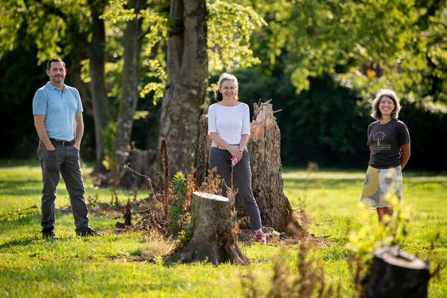 From left, Andrew Bell, Executive Director of the Nashville Tree Foundation, Frannie Corzine, President of the Garden Club of Nashville, and Noni Nielsen, Board President of the Nashville Tree Foundation, pose near tree stumps at Clinton B. Fisk Park in Nashville, Tenn., Thursday, July 2, 2020. The park lost most of its trees in this year&#39;s tornado and the foundation plans to replant about 200 in November. (Ricky Rogers/The Tennessean via AP)