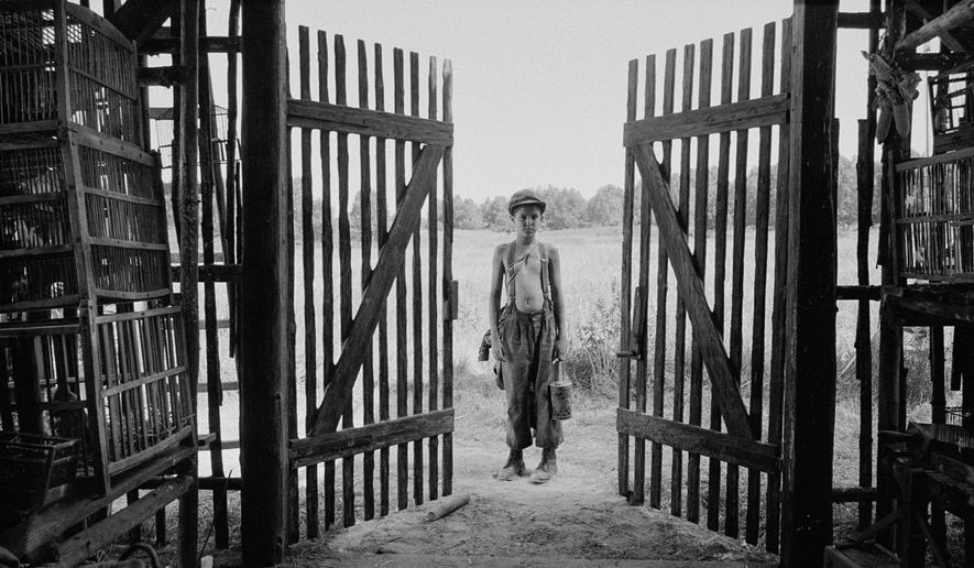 This image released by IFC Films shows Petr Kotlár in a scene from "The Painted Bird." (IFC Films via AP)