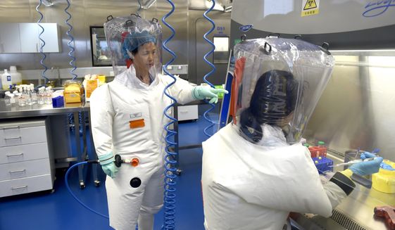 In this Thursday, Feb. 23, 2017, file photo, Shi Zhengli works with other researchers in a lab at the Wuhan Institute of Virology in Wuhan in central China&#39;s Hubei province. (Chinatopix via AP) ** FILE **