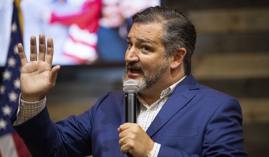 Sen. Ted Cruz, R-Texas, speaks during a town hall meeting with Republican U.S. Senate candidate Dr. Manny Sethi at Music City Baptist Church in Mt. Juliet, Tenn., Friday, July 24, 2020. (Andrew Nelles/The Tennessean via AP) ** FILE **