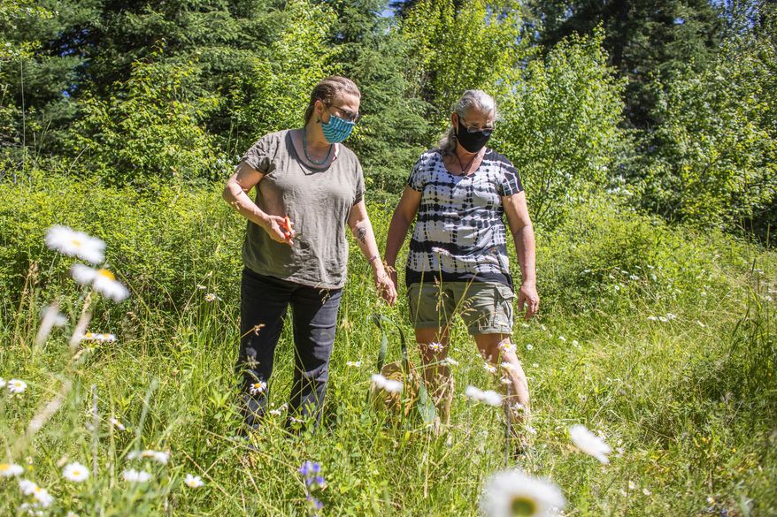 Heather Roan Robbins, left, and Wren Walker Robbins look for invasive plants during a walk around their property near Ronan, Mont., on July 11, 2020. The two have been attempting the walks to search for weeds since their recovery from COVID-19, but say they still find themselves out of breath on their walks four months after having the sickness. (Sara Diggins/The Missoulian via AP)
