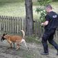 Germany police officers search with dogs an allotment garden plot in Seelze, near Hannover, Germany, Wednesday, July 29, 2020. Police have begun searching an allotment garden plot, believed to be in connection with the 2007 Portugal disappearance of missing British girl Madeleine McCann. (AP Photo/Martin Meissner)