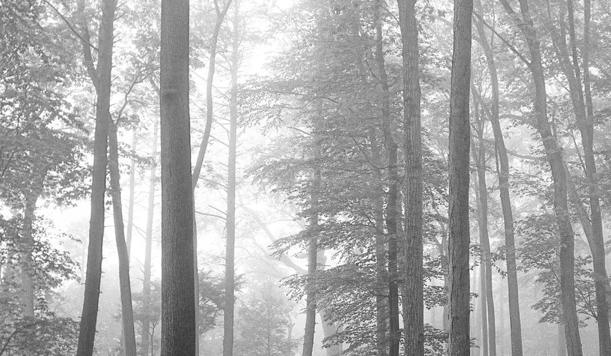 This cover image released by Republic Records shows "Folklore," by Taylor Swift. Swift's eighth album debuted at No. 1 on Billboard's 200 albums chart this week, marking the best first-week sales of the year and giving the pop star her seventh No. 1 title on the chart. (Republic Records via AP)