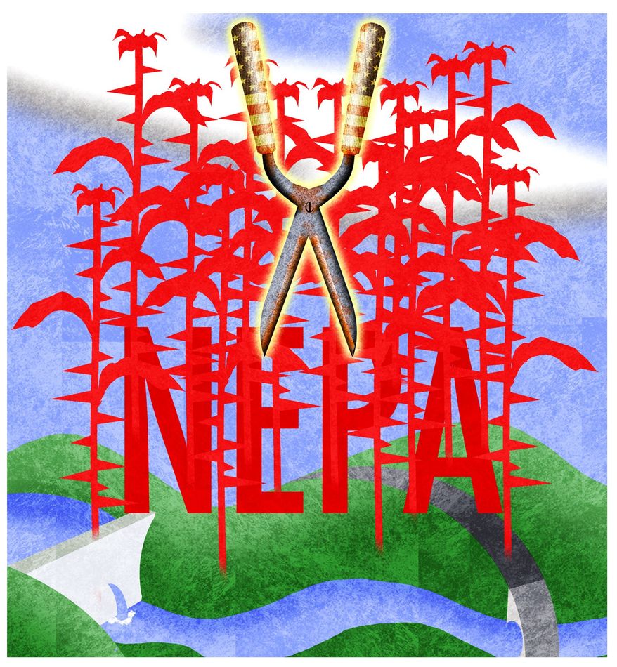 Illustration on NEPA reform by Alexander Hunter/The Washington Times