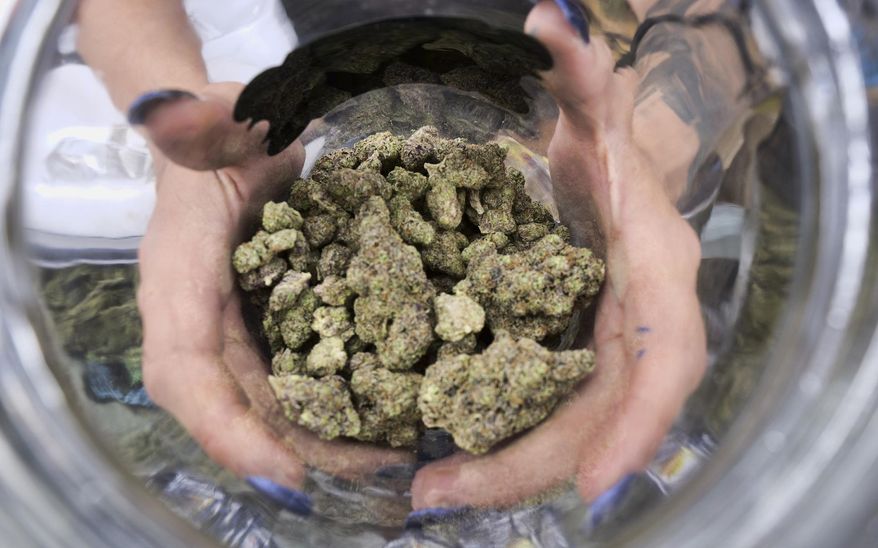 In this April 21, 2018, file photo a bud tender displays a jar of cannabis at the High Times 420 SoCal Cannabis Cup in San Bernardino, Calif. (AP Photo/Richard Vogel, File)